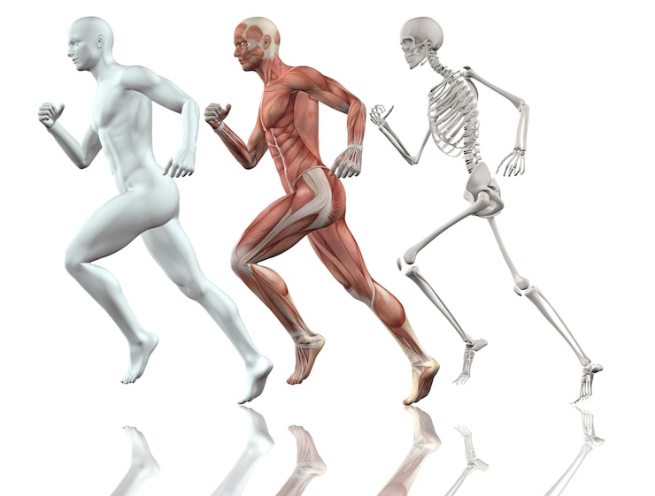 human-body-running_1048-4903